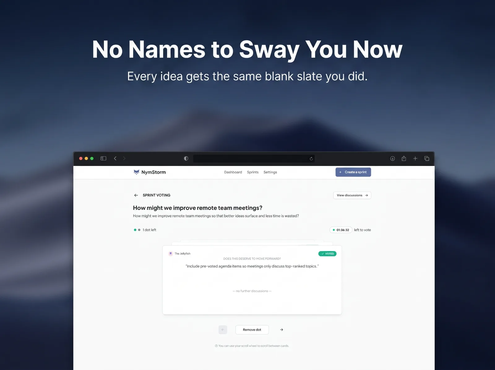 NymStorm screenshot 3