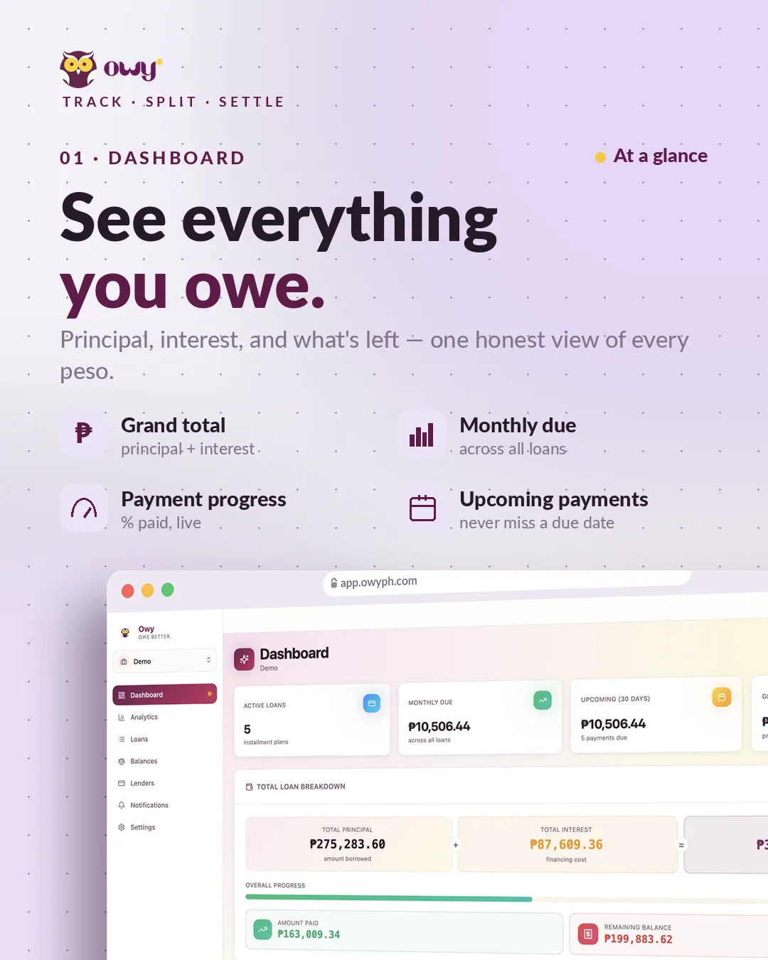 Owy -  Debt Tracker screenshot 2