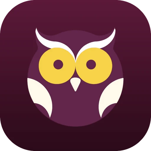 Owy -  Debt Tracker icon