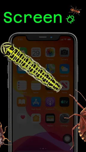 Screen Bugs: Insects Prank screenshot 4
