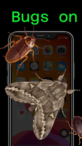 Screen Bugs: Insects Prank screenshot 3