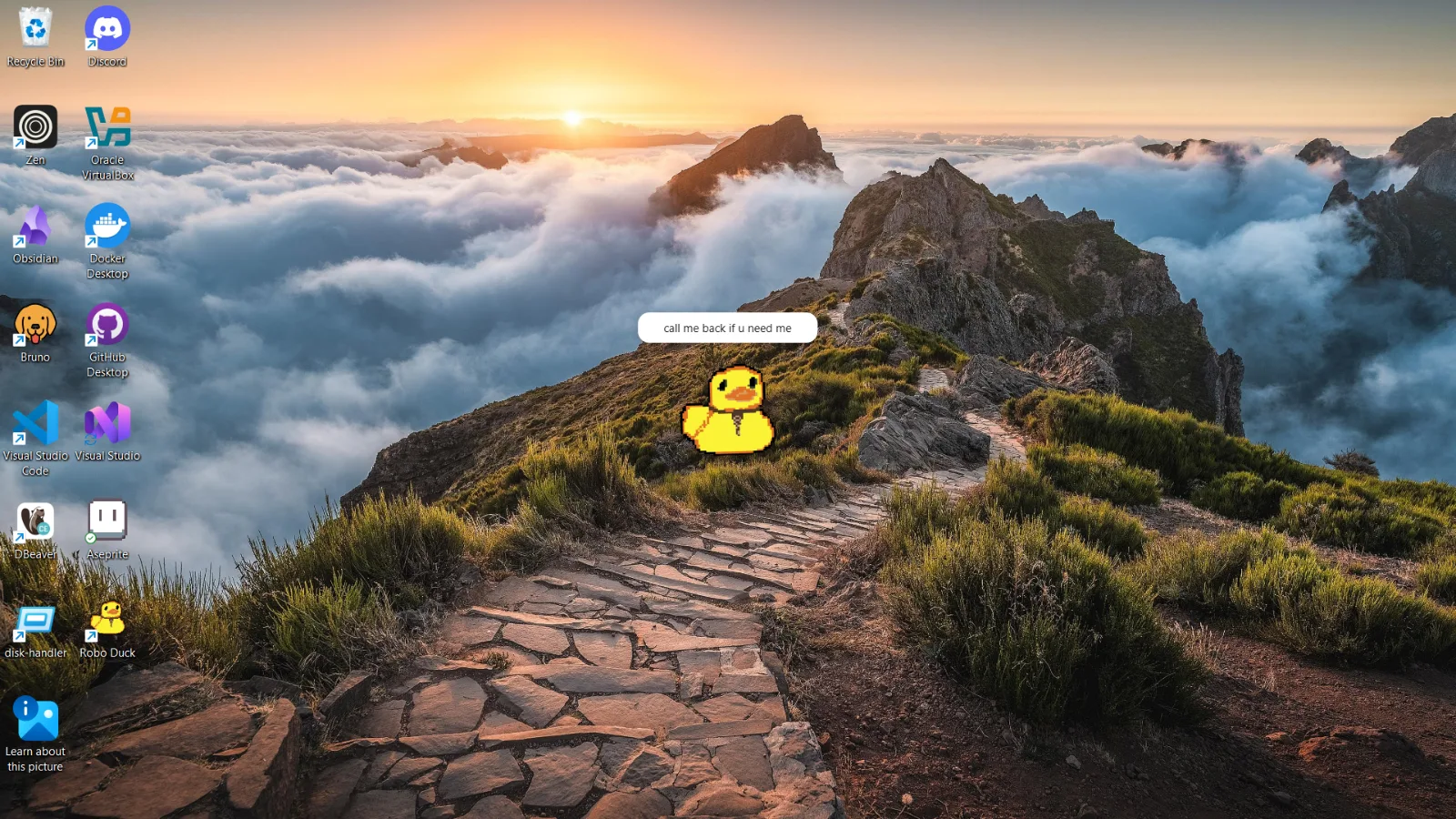 robo duck screenshot 4