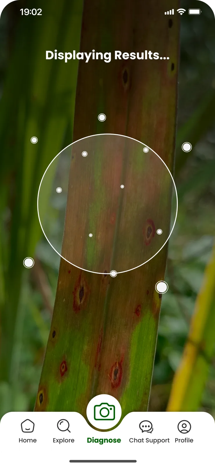 NapierGrassPro screenshot 1