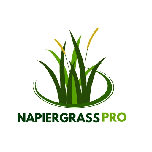 NapierGrassPro icon